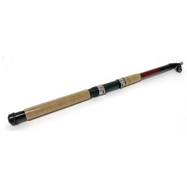DAM Allround Tele 60 Telescopic Rod Fishing Rod 3.00 m Casting Weight 30-60 g Carp Rod Pike Rod Zander Rod