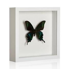 MUXIUNT 8×8 Shadow Box Picture Frame Display Cases with Soft Linen Back,Small Large Mini White Deep Shadow Memory Box Frame 8×8 for Baby Wedding Pet Graduation Items Flower Craft Ticket Photo