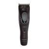 Panasonic ER-GP82-K Prolinear Clippers