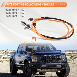 Antenna Base Mount Cable Compatible for Ford F-150 2021-2023 Replacement Aerial Radio Antenna