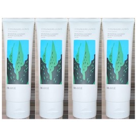 4 Cheongmijeong Winter Cherry Body Lotion Aloe / 4개 청미정 윈터체리 바디로션 알로에