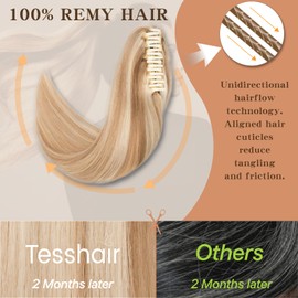 TESSHAIR Claw Clip In Ponytail Extension, 100% Human Hair Ponytail Extension, No Tangle & Smooth, 120g, 22 Inch #Golden Brown & Bleach Blonde