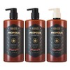 Kerasis Propolis Shampoo 1L (2 bottles) + Treatment (1 bottle), 3 items / 케라시스 프로폴리스 샴푸 1L 2개+ 트리트먼트 1개, 3개