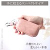 LedLis Key Case, Smart Key Case, Key Holder, Women's, Men's,