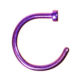 Body Candy Titanium Anodized Stainless Steel Purple Nose Stud Hoop 18 Gauge 5/16"