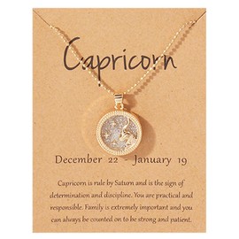 Zodiac Necklace for Women Girls 12 Constellation Coin Embossed Necklace Horoscope Pendant Necklace for Girls