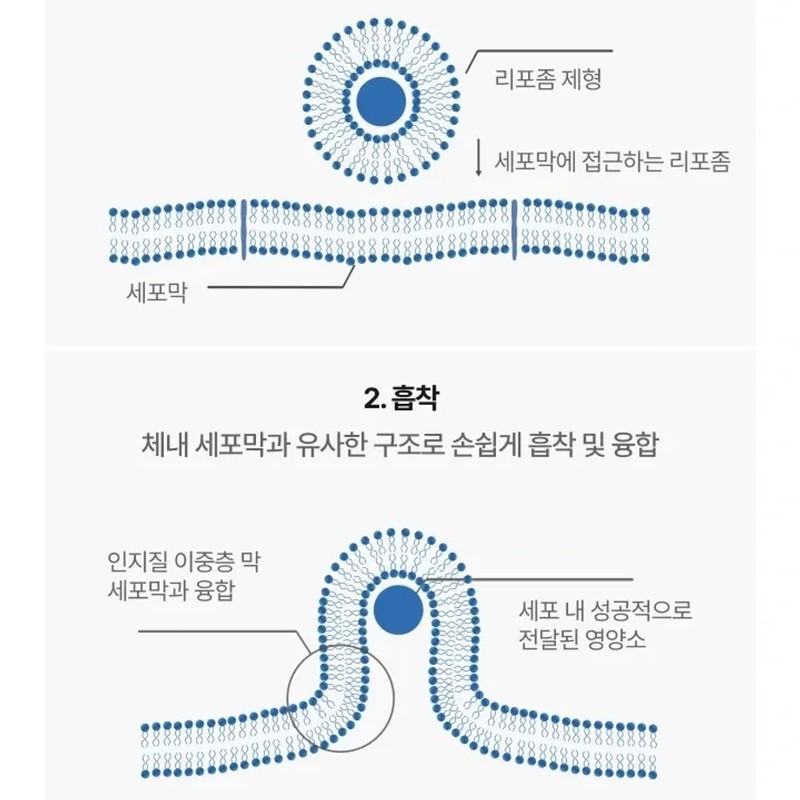 Habitual Chuseok gift [90% purity] Liposomal Glutathione Brightening MAX 500mg