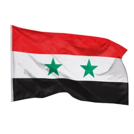 PHENO FLAGS Syria Flag - Syria Flag 90 x 150 cm with Brass Eyelets - Durable Flag for Flagpole - 100% Polyester