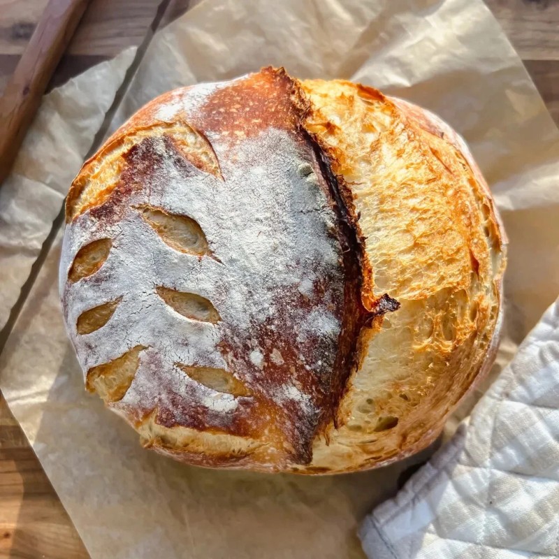 Heritage Sour Sourdough Starter Dehydrated Culture Active German Bavarian Style