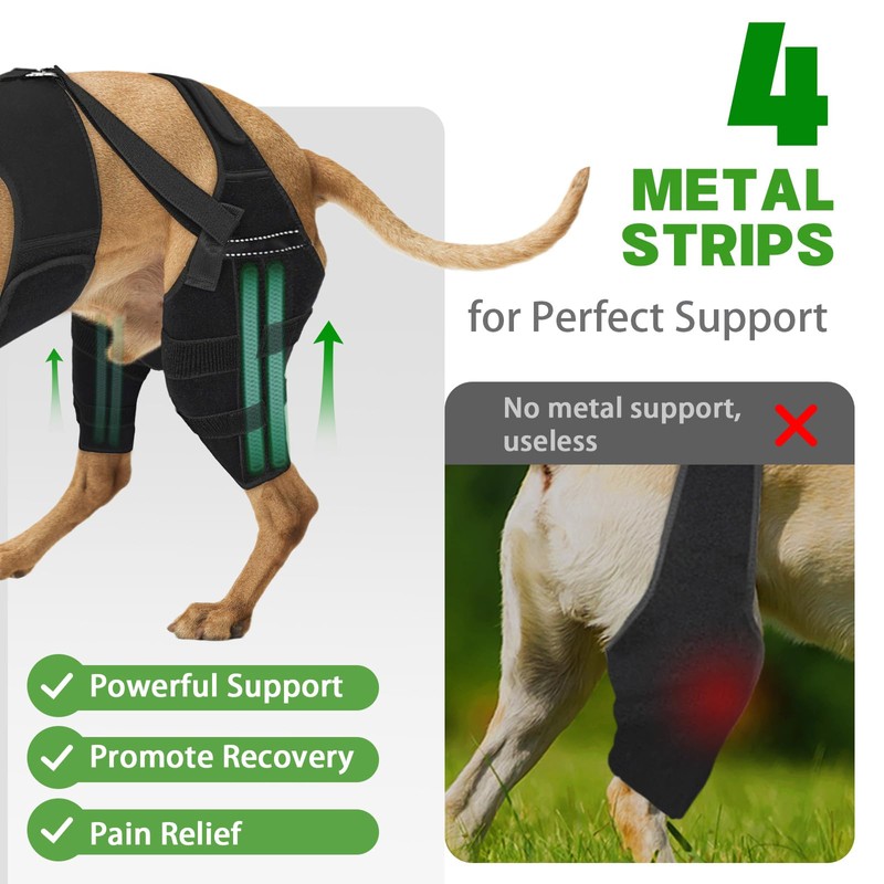 Marnonsis Dog Knee Brace for Torn Acl Hind Leg, Adjustable