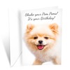 Prime Greetings Funny Dog Birthday Card Pun With Pomeranian, Made