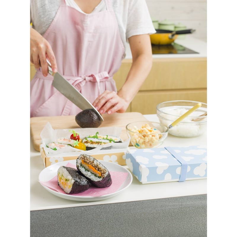 Hosho LB-017-RSO Collapsible Flat Lunch Box R Size Sora "Reusable"