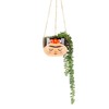 Sass & Belle Frida Hanging Planter