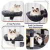 Gitelsnour Cat Tree, 71'' (180cm) Cat Tower for Indoor Cats
