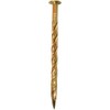 DAIDOHANT 46854 Brass Nail [Round Head / Screw] (Nominal Diameter)