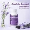 Elvera Gut Support Complex - Organic Black Elderberry Soft Capsules