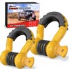 Nilight 2 Pack 3/4" D-Ring Shackle with 7/8" Screw Pin