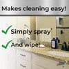 Black Diamond Stoneworks GRANITE PLUS! 2 in 1 Cleaner &