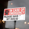 In Case of Emergency, Save My Dog(s) - 2 Stickers