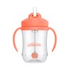 Dr. Brown’s Milestones Baby’s First Straw Cup, Training Cup with