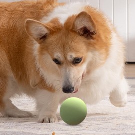 Pet Ball Thrower for Dogs | Interactive Dog Toys Thrower,Retractable Puppy Ball Throwing Stick, Pet Toy Ball Thrower