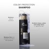 TRUSS Blond Shampoo, 10.14 fl oz