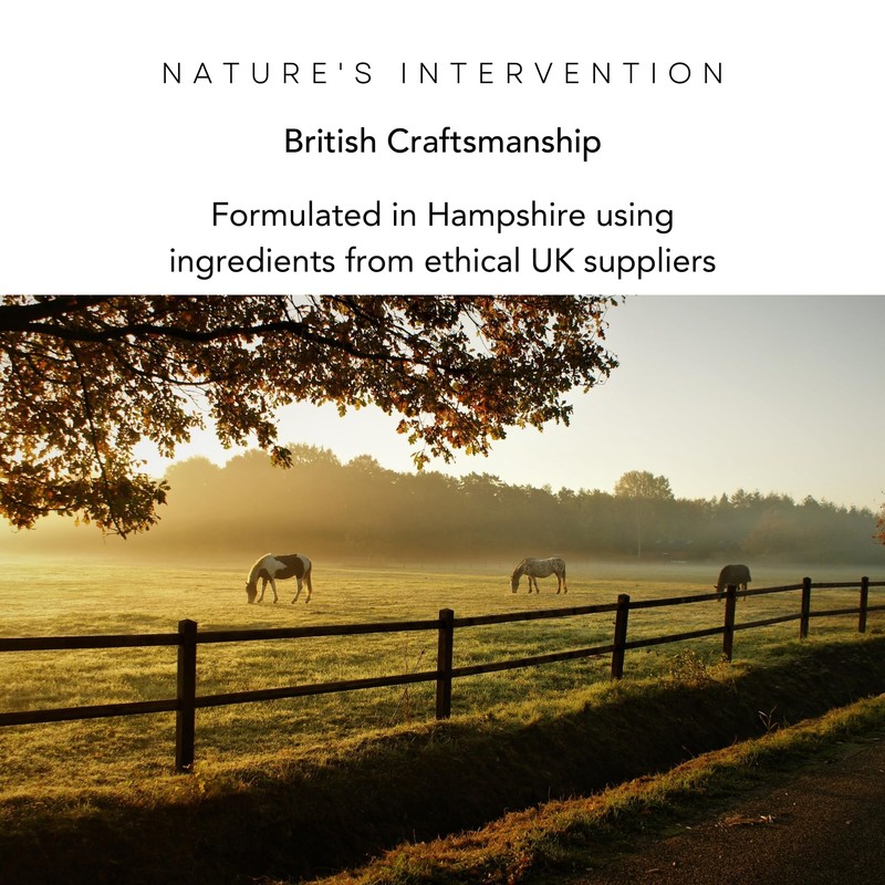 Nature's Intervention Soothing Equine Aloe Gel, Neem, 200g