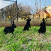 Artistic Rabbit Metal Statue 2D Rabbit Animal Figurine Stakes Outdoor