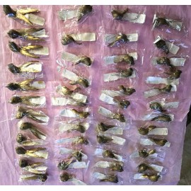 nicole 48 Nicole Gold feathered Birds NWT Very Vintage 42.72 retail value