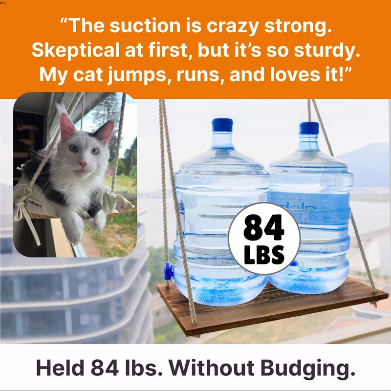 Large Cat Window Perch with Industrial-Grade Suction Cups - Solid