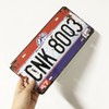 Panguru 2 Pieces Prop License Plates from Supernatural, Metal Stamped