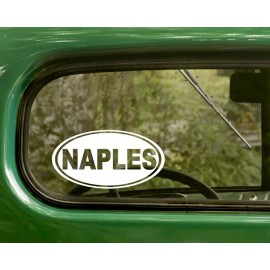 The Decal and Sticker Mafia 2 NAPLES FLORIDA DECALs oval Sticker For Bumper Car Truck Window Rv Laptop