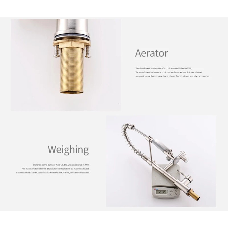 FLG Brushed Nickel Kitchen Faucet Single Handle Spring Faucet with