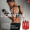 iSatori L-Carnitine LS3 3000, Liquid L-Carnitine with Acetyl L-Carnitine, L-Carnitine