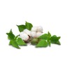 Exfoliating Glove Made of Nettle and Cotton Fiber, Colour Natural