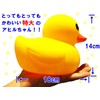 Duck-chan Bonus 63 Piece Set, For Baths