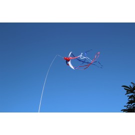 EEZ RV Products 32FT Telescoping Wind Sock Pole, Adjustable and Easy to Assemble, Great for RV Ladder Mount Windsocks, Spinners, and Kites (Pole Only)