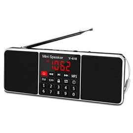 LEFON Multifunction Digital FM Radio Media Speaker MP3 Music Player Support TF Card USB Drive with LED Screen Display and Setting Timing Shutdown Function (Black)