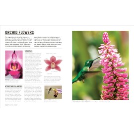 Grow Orchids: Essential Know-how and Expert Advice for Gardening Success (DK Grow)
