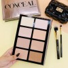 Profusion Estuche Bronzer Iluminador Y Brochas Profecional Conceal