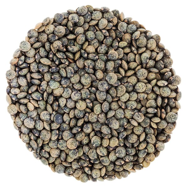 Organic French Green Lentils by Food to Live (Whole Dry Beans, Non-GMO, Kosher, Raw, Sproutable, Bulk) — 20 Pounds