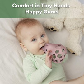 Haakaa Silicone Bear 3-in-1 Teether,Baby Teether,Teething Toys,Food-Grade Silicone,Blush