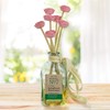 Penny & Rose Ceramic Rose Diffuser | Springhouse Watermelon Oil