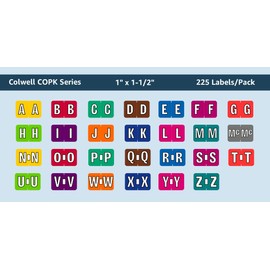 Doctor Stuff - File Folder Labels, Alphabet Letter I, Colwell Jewel Tone - COAM Series Compatible Alpha Stickers, Grape, 1" x 1-1/2", 225 Labels per Package