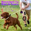 Light Up Dog Leash with Collar 2-in-1, 14 LED Modes