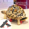 Yimluofa 2 PCS Turtle Skateboard Funny Reptile Skateboard Bird Parrot