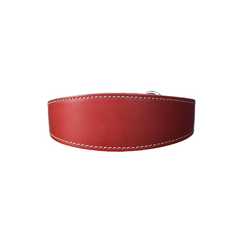 BBD Pet Products Whippet Slip Collar, One Size, 3/4 x