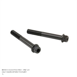 PLOT brembo Stainless Steel Caliper Mount Bolt Black 75mm Flanged Hex M10/P1.25 Hexagonal Lobular 2-piece CMBF-075B