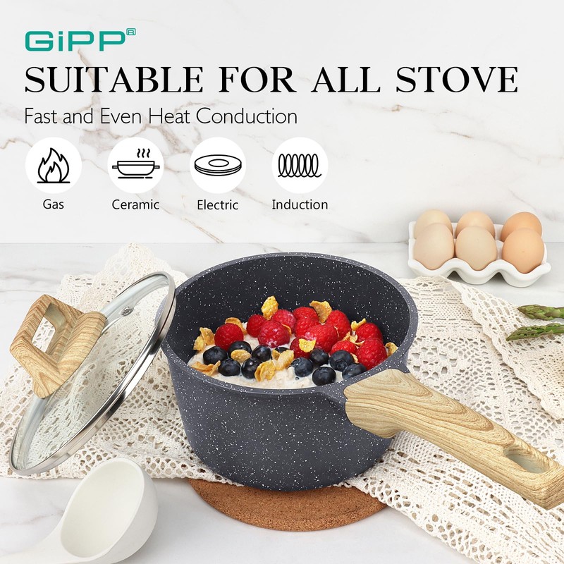 GiPP Nonstick Sauce Pan with Lid - 1.5QT Small Non