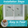 Fish Breeding Box, Breeding Box for Fish Tank, Baby Fish